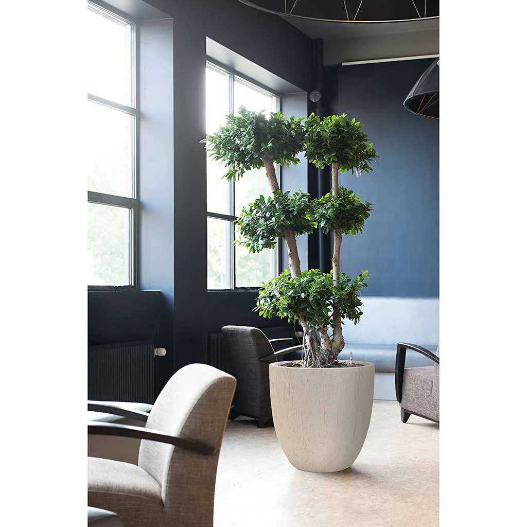 Raindrop Egg Planter Stone Grey - Textured Fibreclay Indoor/Outdoor Pot 6 Raindrop Egg Planter Stone Grey - Textured Fibreclay Indoor/Outdoor Pot - Image 6