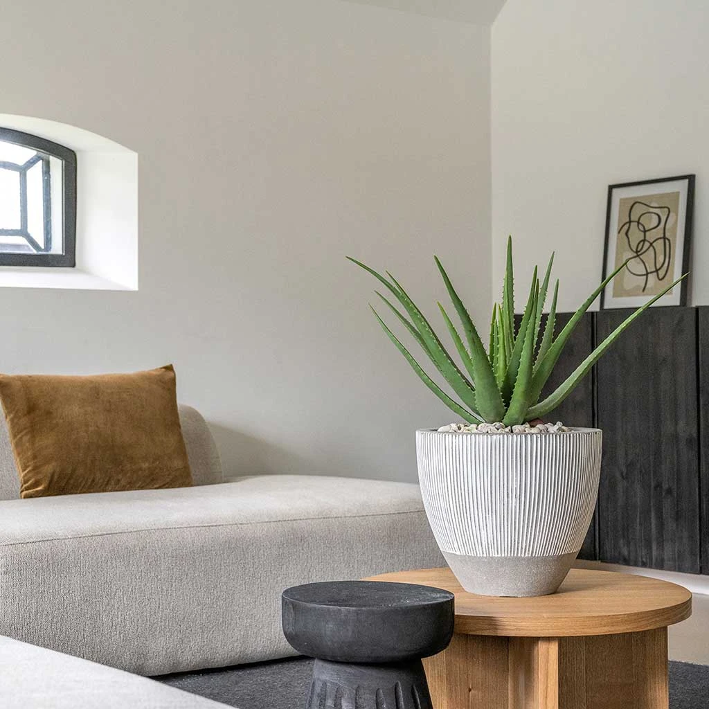 Jesslyn Ridged Plant Pot - White Stripe 7 Jesslyn Ridged Plant Pot - White Stripe - Image 7