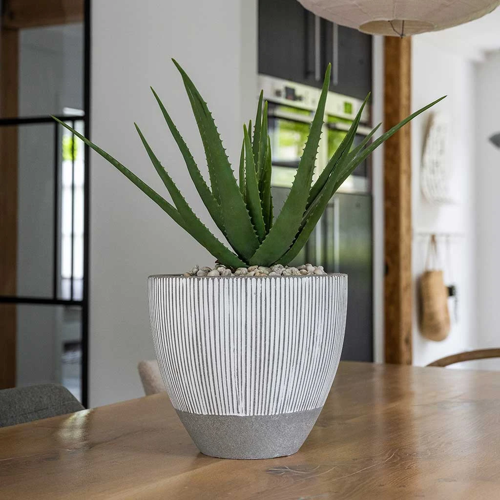 Jesslyn Ridged Plant Pot - White Stripe 8 Jesslyn Ridged Plant Pot - White Stripe - Image 8