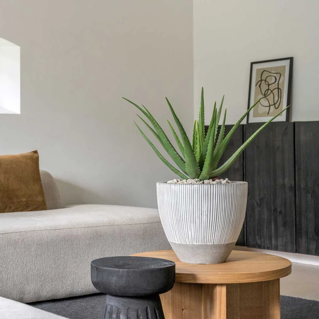 Jesslyn Ridged Plant Pot - White Stripe 2 Jesslyn Ridged Plant Pot - White Stripe - Image 2