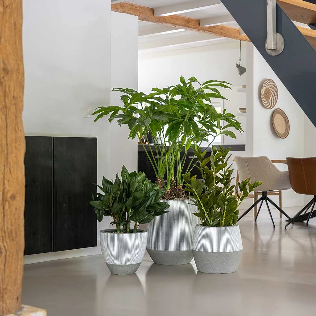 Jesslyn Ridged Plant Pot - White Stripe 5 Jesslyn Ridged Plant Pot - White Stripe - Image 5