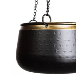 Sahara Hanging Plant Pot - Slate 13 Sahara Hanging Plant Pot - Slate -HORTOLOGY Plants Sale Sahara Hanging Pot Slate DETAIL