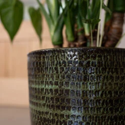 Sanna Plant Pot - Moss Green -HORTOLOGY Plants Sale Sanna Moss Green 2