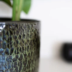 Sanna Plant Pot - Moss Green -HORTOLOGY Plants Sale Sanna Moss Green 5