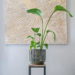 Sanna Plant Pot - Moss Green -HORTOLOGY Plants Sale Sanna Moss Green 7