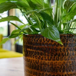 Sanna Plant Pot - Savanna -HORTOLOGY Plants Sale Sanna Savana 2