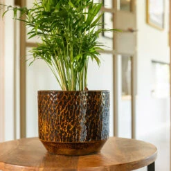 Sanna Plant Pot - Savanna -HORTOLOGY Plants Sale Sanna Savana 4