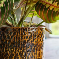 Sanna Plant Pot - Savanna -HORTOLOGY Plants Sale Sanna Savana 6