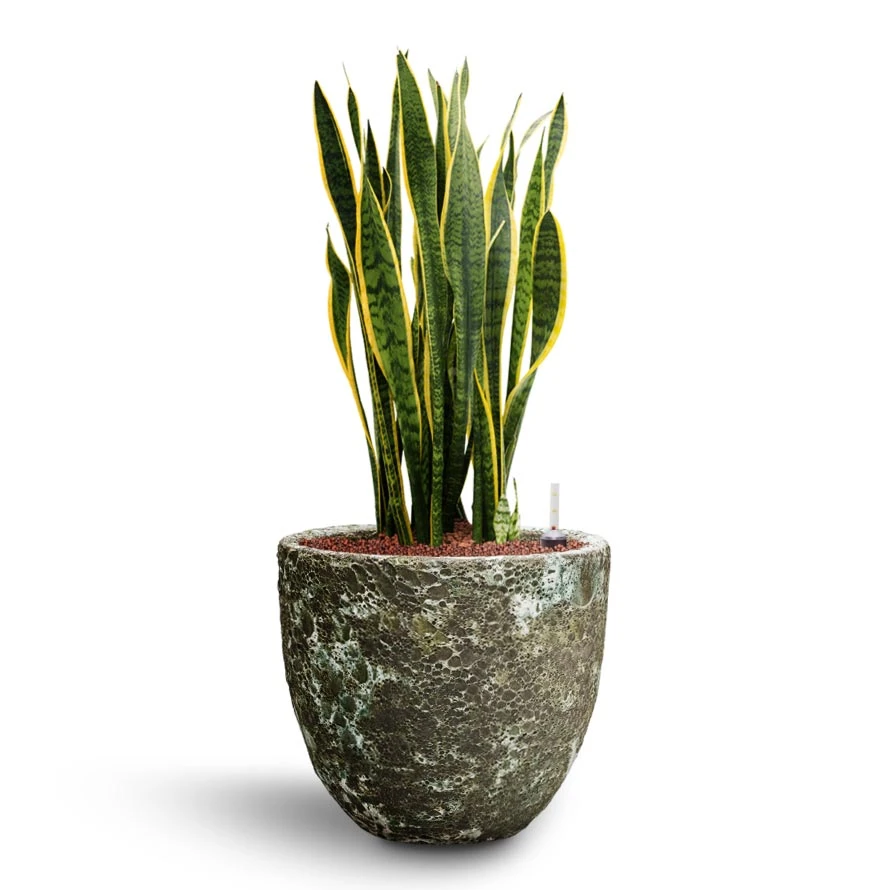 Lava Couple Relic Planter - Jade 12 Lava Couple Relic Planter - Jade - Image 12