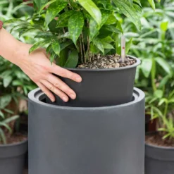 Solid Cylinder Planter - Matt Dark Grey Fiberclay Tall Tubular Indoor Pot 10 Solid Cylinder Planter - Matt Dark Grey Fiberclay Tall Tubular Indoor Pot -HORTOLOGY Plants Sale Solid Cylinder Planter Dark Grey 1