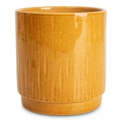 Stella Plant Pot - Mustard 11 Stella Plant Pot - Mustard -HORTOLOGY Plants Sale Stella Pot Mustard 13x14cm