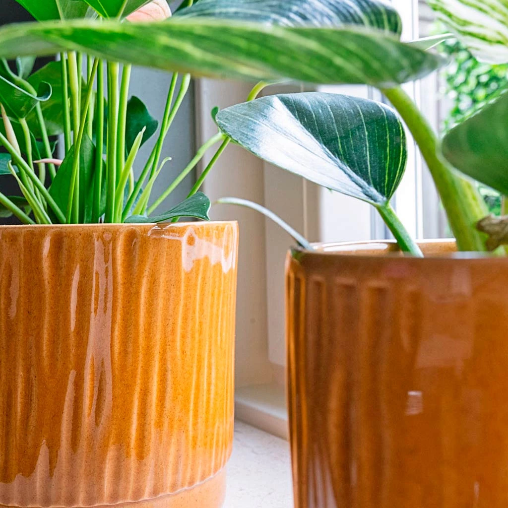 Stella Plant Pot - Mustard 7 Stella Plant Pot - Mustard - Image 7