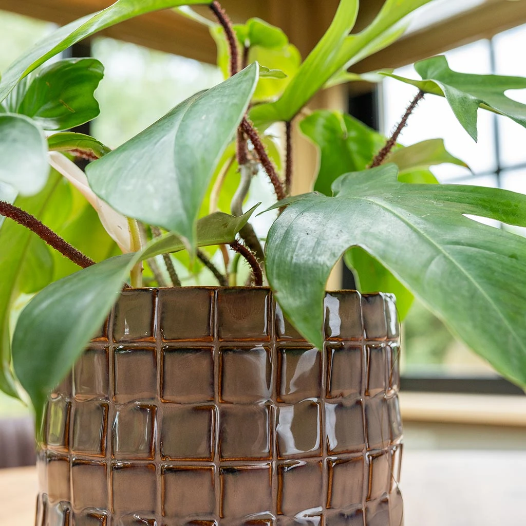 Stian Plant Pot - Lavender Candy 8 Stian Plant Pot - Lavender Candy - Image 8