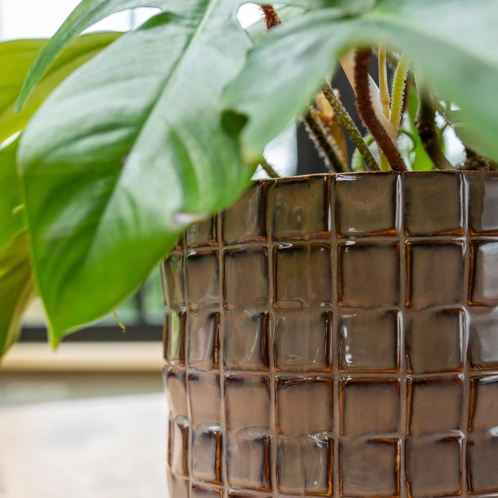 Stian Plant Pot - Lavender Candy 11 Stian Plant Pot - Lavender Candy - Image 11