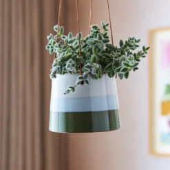Striped Hanging Plant Pot - Blue Green -HORTOLOGY Plants Sale Striped Hanging Pot Blue Green 9.5x9.5cm Lifestyle 2