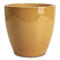 Sven Plant Pot - Mustard -HORTOLOGY Plants Sale Sven Pot Mustard 16x13cm