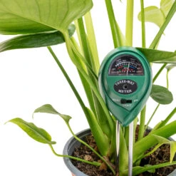 PH Moisture Light Meter - 3in1 6 PH Moisture Light Meter - 3in1 -HORTOLOGY Plants Sale T3 in 1 pH Moisture Light Meter 4