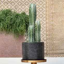 Terrazzo Cylinder Planter - Black 15 Terrazzo Cylinder Planter - Black -HORTOLOGY Plants Sale Terrazo Cylinder Black Lifestyle