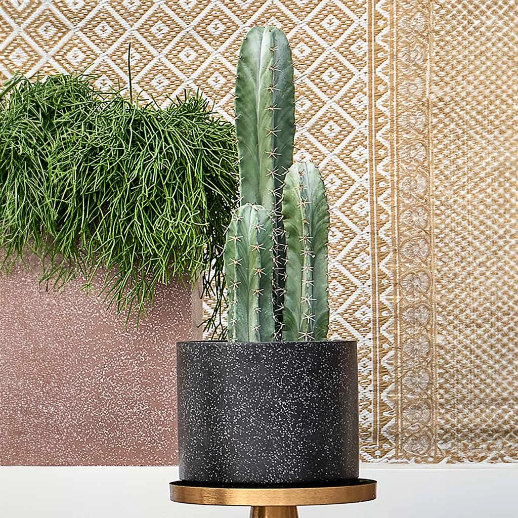 Terrazzo Cylinder Planter - Black 7 Terrazzo Cylinder Planter - Black - Image 7