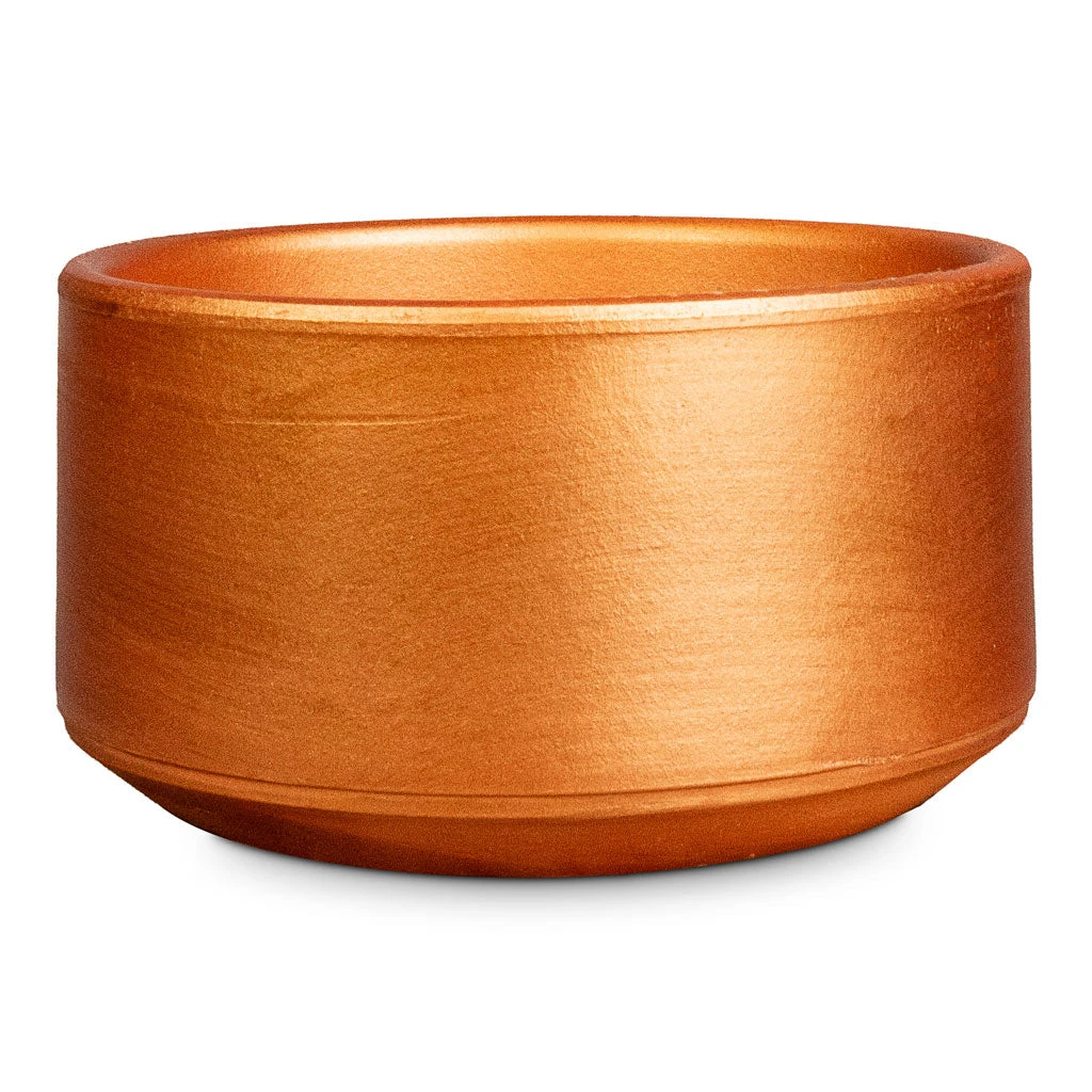 Tivoli Plant Bowl - Copper 1 Tivoli Plant Bowl - Copper