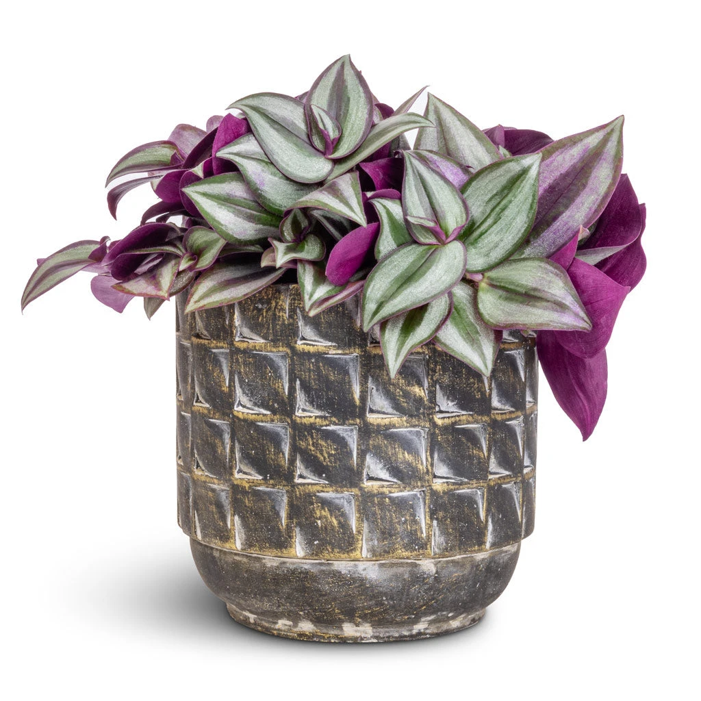 Jim Plant Pot - Earth 9 Jim Plant Pot - Earth - Image 9