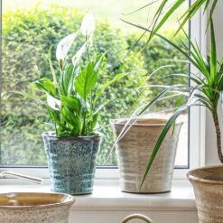 Vallo Plant Pot - Sea Blue -HORTOLOGY Plants Sale Vallo Pot Sea Blue 21x21cm