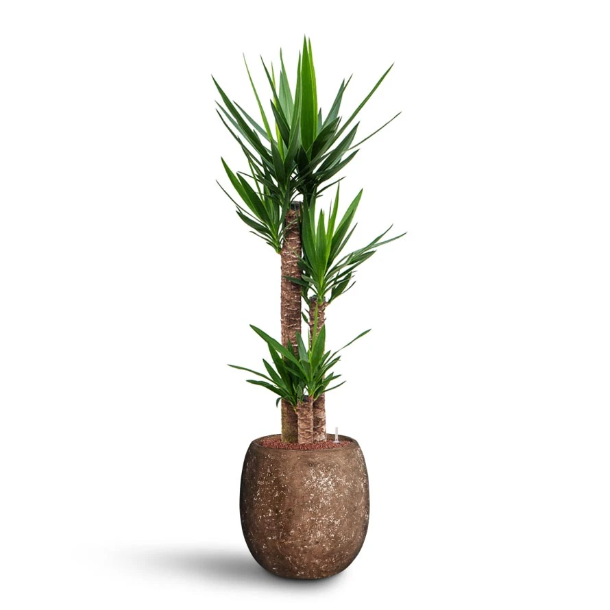 Polystone Coated Plain Balloon Planter - Rock 2 Polystone Coated Plain Balloon Planter - Rock - Image 2