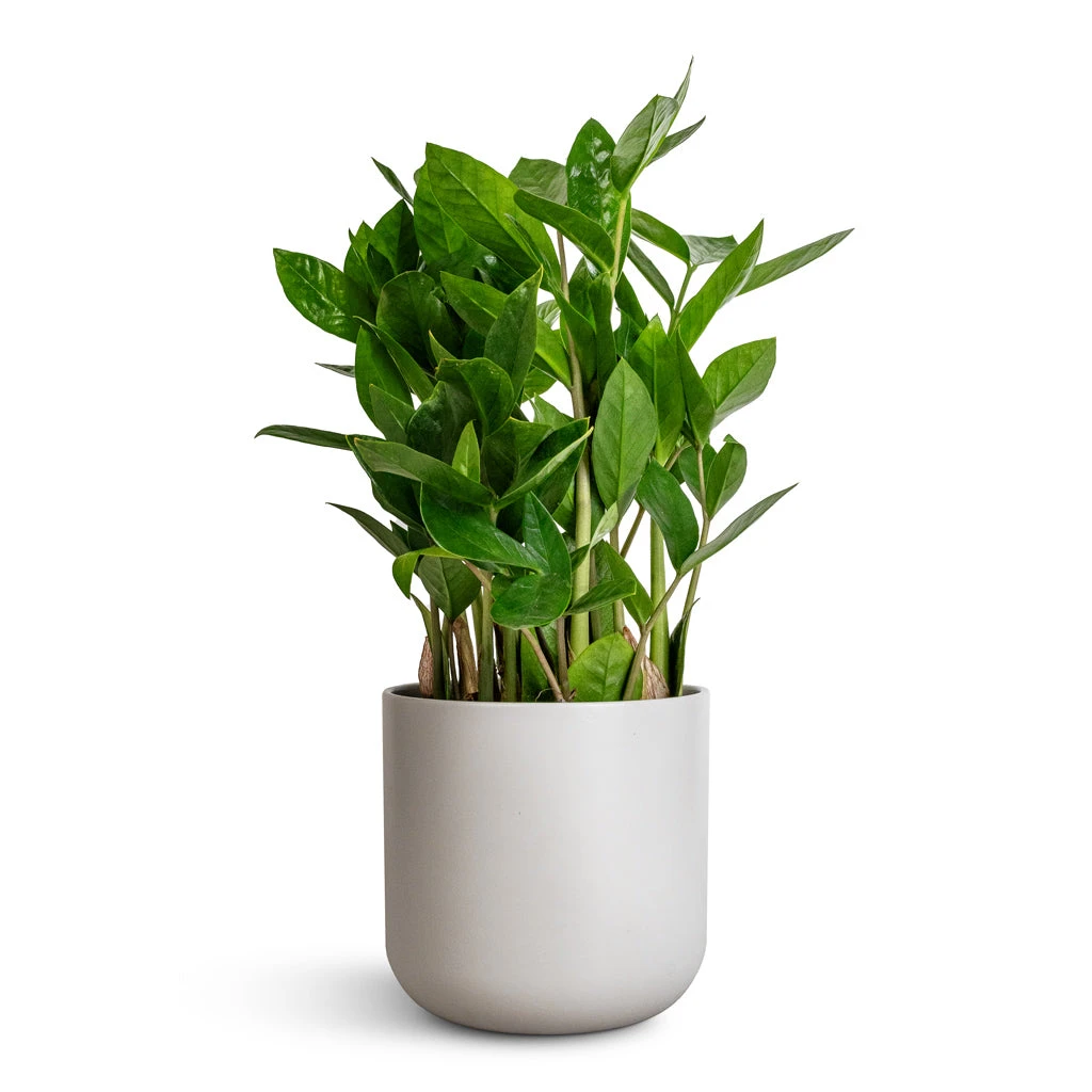 Lisbon Plant Pot - Light Grey 3 Lisbon Plant Pot - Light Grey - Image 3