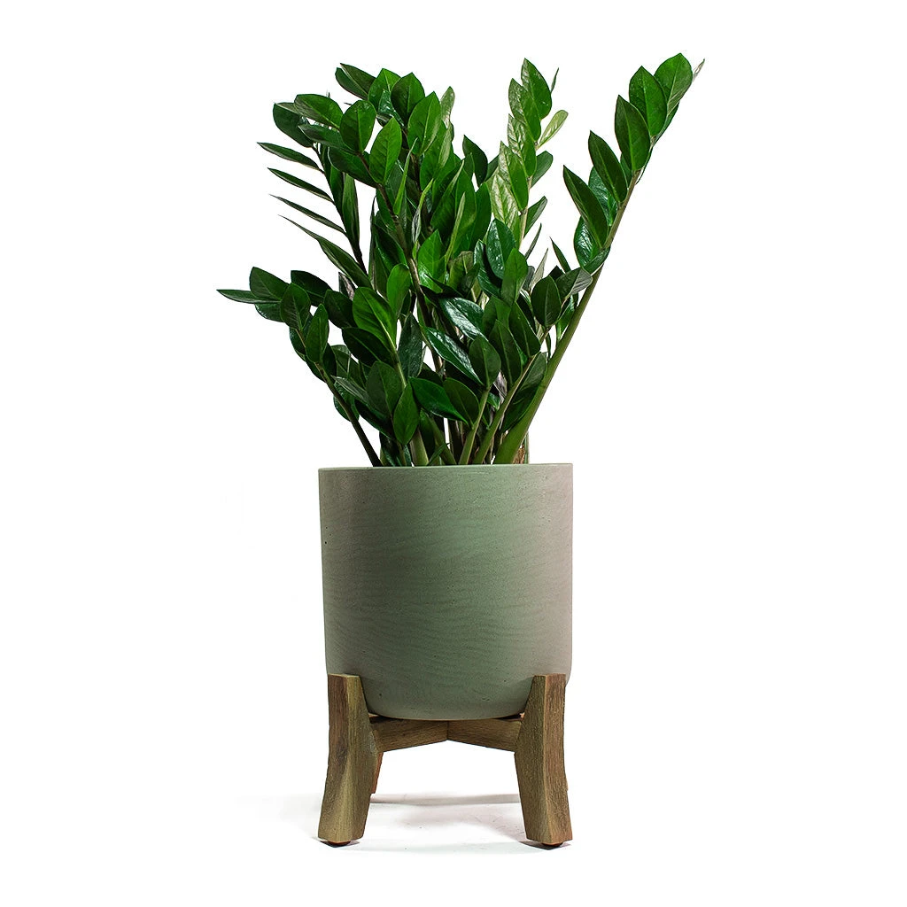 Charlie Plant Pot - Low Stand - Grey Washed 7 Charlie Plant Pot - Low Stand - Grey Washed - Image 7