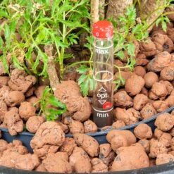 Hydroculture Water Level Indicator - Standard -HORTOLOGY Plants Sale hydroculture water meter readings