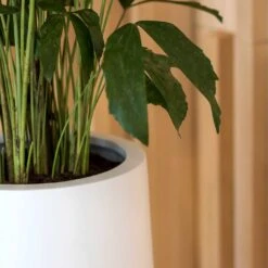 Nax Essentials Tall Planter - Matt White -HORTOLOGY Plants Sale nax planter essential matte white edge