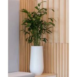Nax Essentials Tall Planter - Matt White -HORTOLOGY Plants Sale nax planter essential matte white office plants