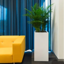 Bouvy Essentials Planter - Matt White -HORTOLOGY Plants Sale pottery pots essential matte bouvy 5