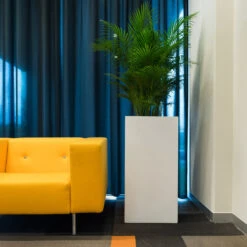 Bouvy Essentials Planter - Matt White -HORTOLOGY Plants Sale pottery pots essential matte bouvy 6